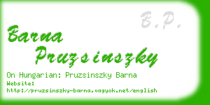 barna pruzsinszky business card